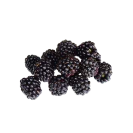 AGUADENTE of wild BLACKBERRIES - AMOROSA